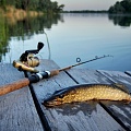 Рыбалка